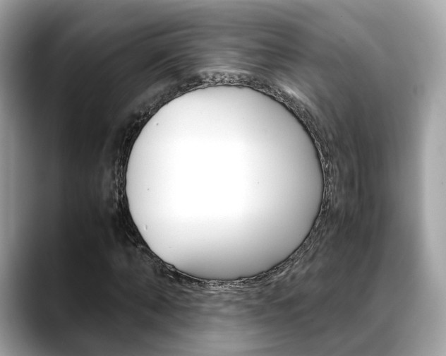 X0000088720870200705311055