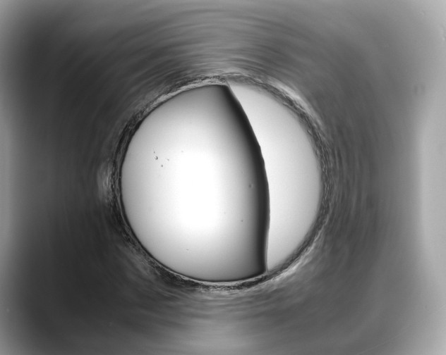 X0000088720873200705311055