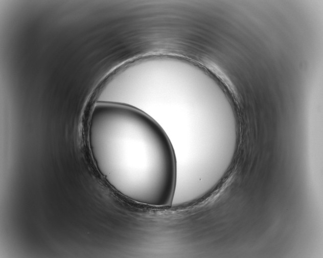 X0000088720876200705311055