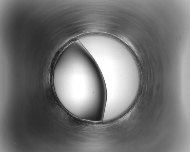 X0000088720877200705311055