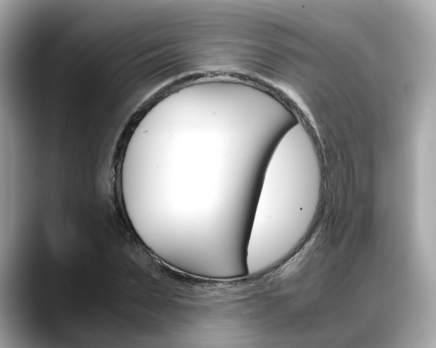 X0000088720879200705311055