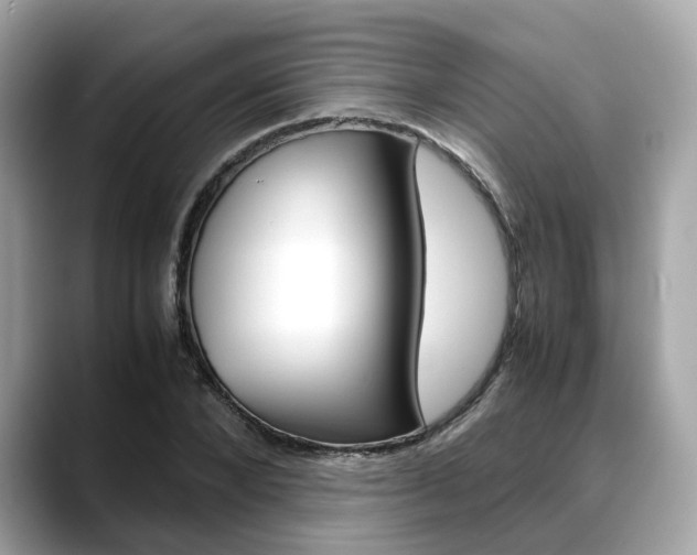 X0000088720880200705311055