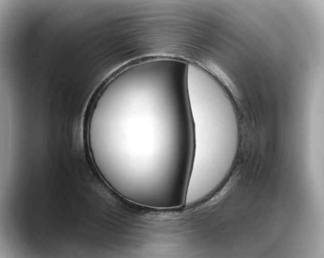 X0000088720884200705311055