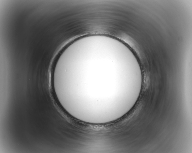X0000088720886200705311055