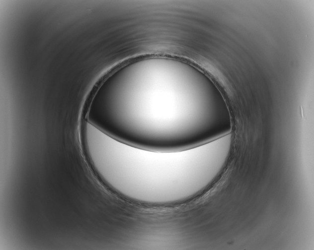 X0000088720888200705311055