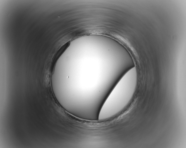 X0000088720889200705311055
