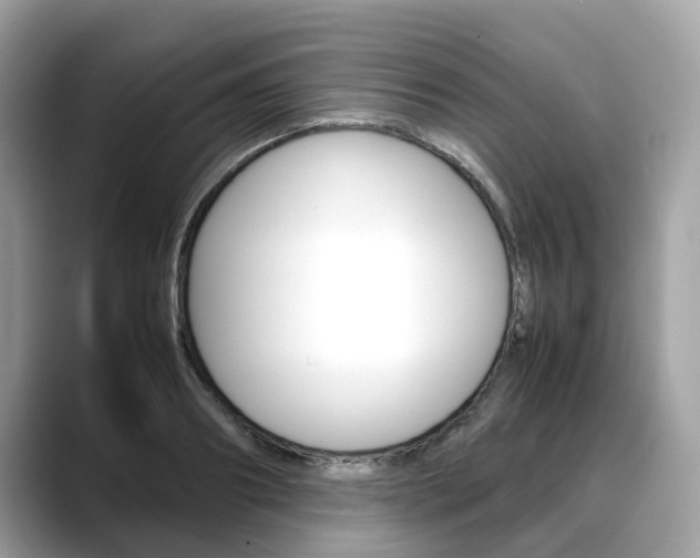 X0000088720890200705311055