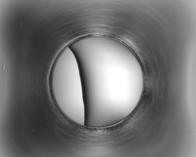 X0000088720891200705311055