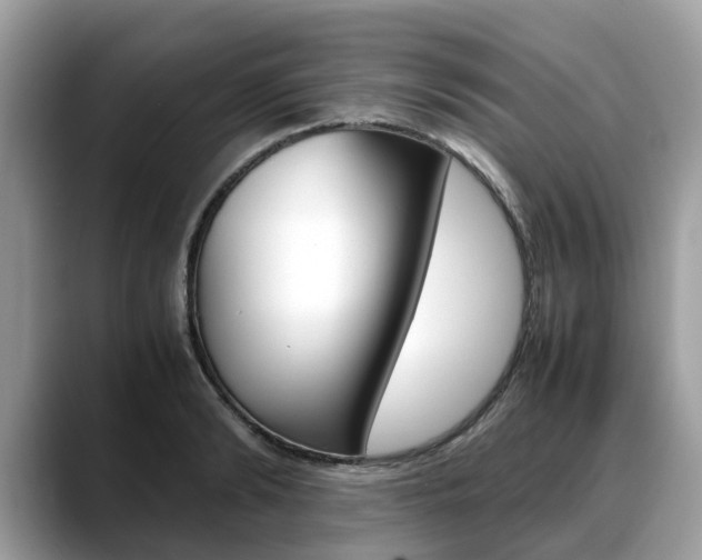 X0000088720894200705311054