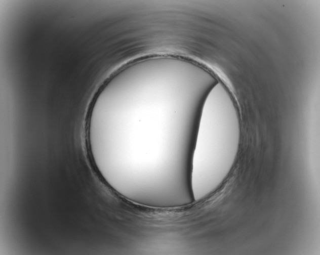 X0000088720895200705311054