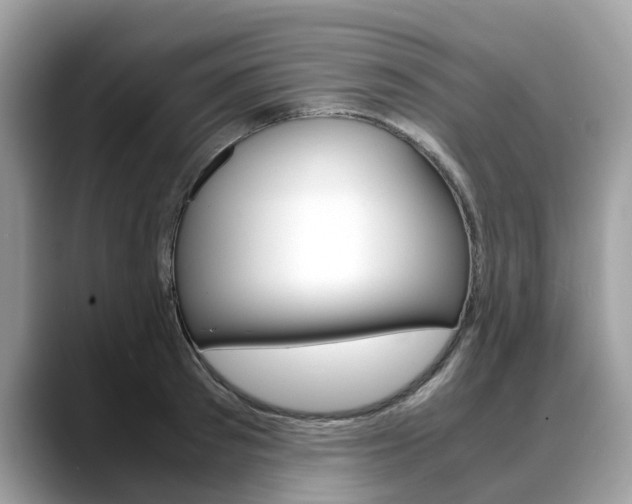 X0000088720897200705311054
