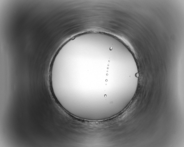 X0000088720903200705311054