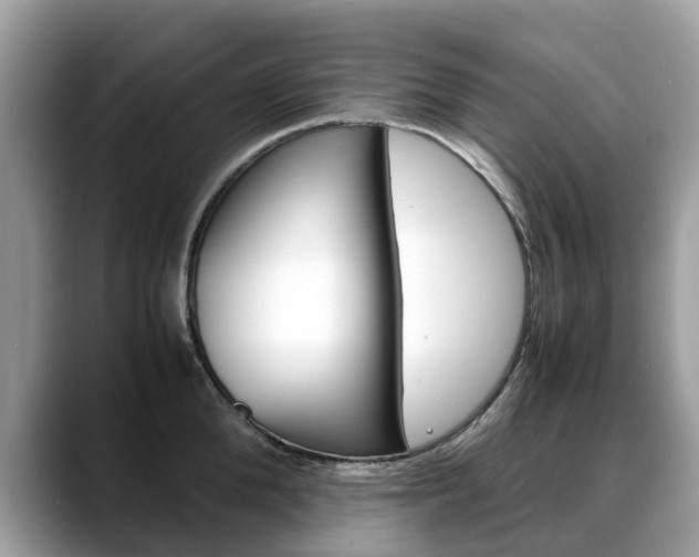 X0000088720904200705311054