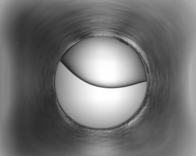 X0000088720905200705311054