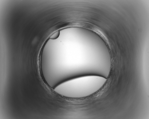 X0000088720907200705311054