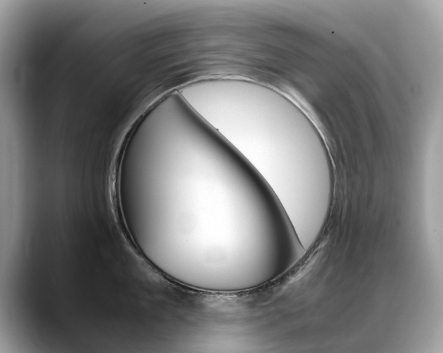 X0000088720909200705311054