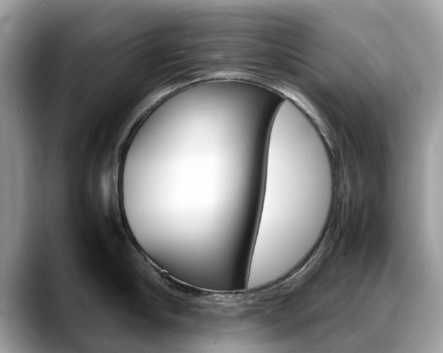 X0000088720910200705311054