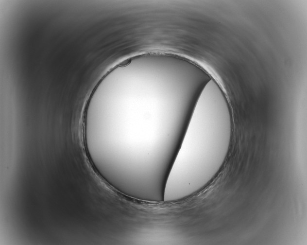 X0000088720911200705311054