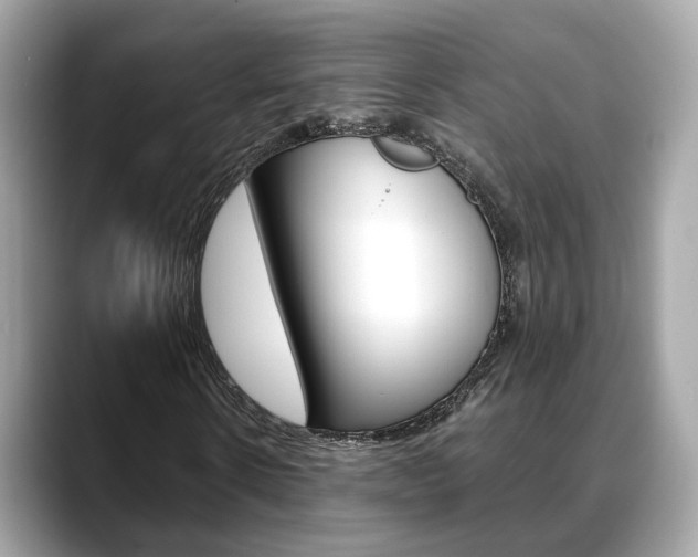 X0000088720914200705311054