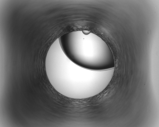 X0000088720915200705311054