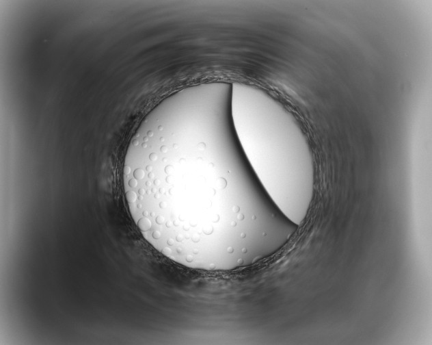 X0000088720917200705311054