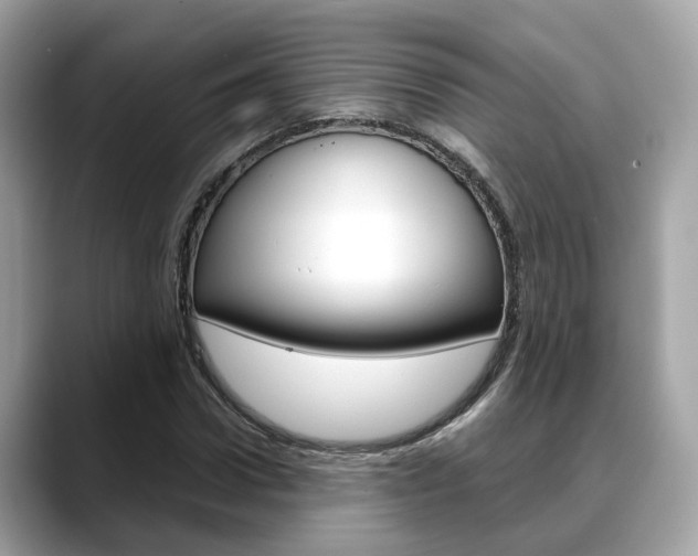 X0000088720922200705311054