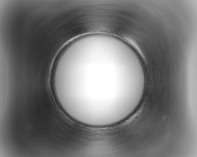 X0000088720924200705311054