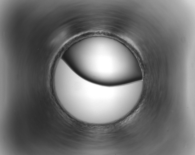 X0000088720927200705311054