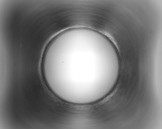 X0000088720928200705311054