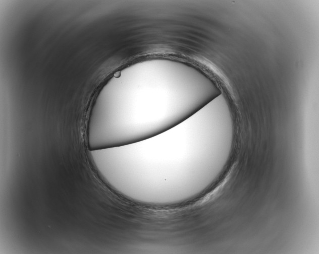 X0000088720929200705311054