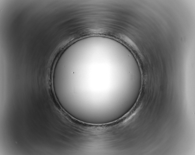 X0000088720930200705311054