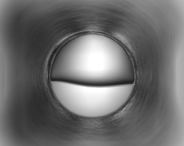 X0000088720931200705311054