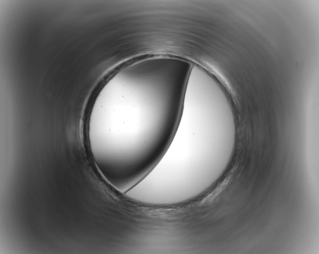 X0000088720932200705311054
