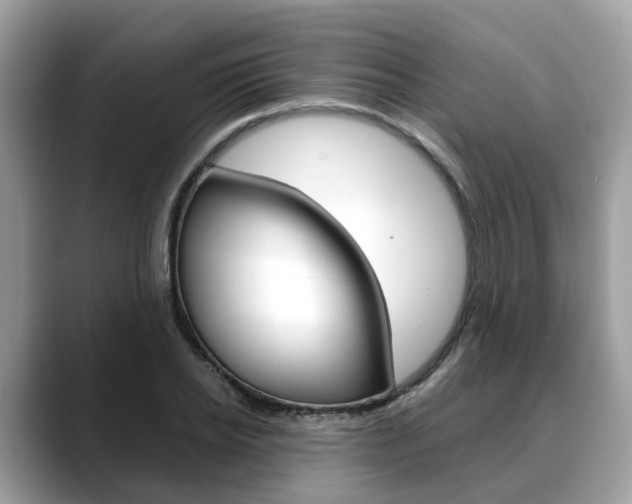 X0000088720934200705311054
