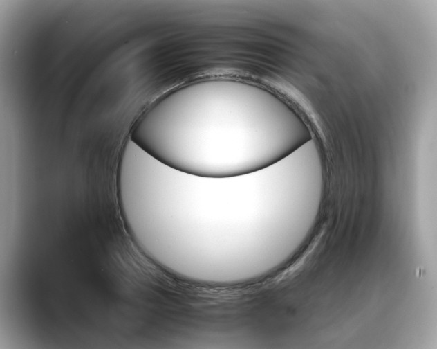 X0000088720937200705311054