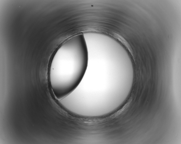 X0000088720938200705311054