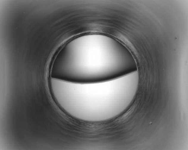 X0000088720939200705311054
