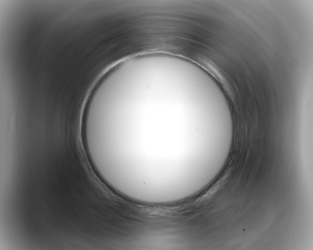 X0000088720940200705311054