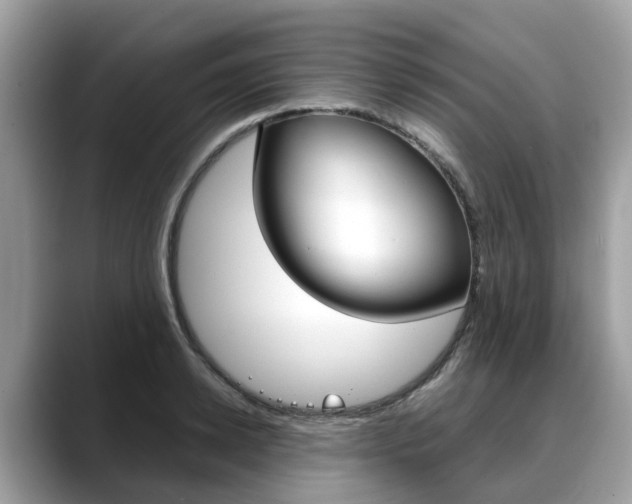 X0000088720942200705311054