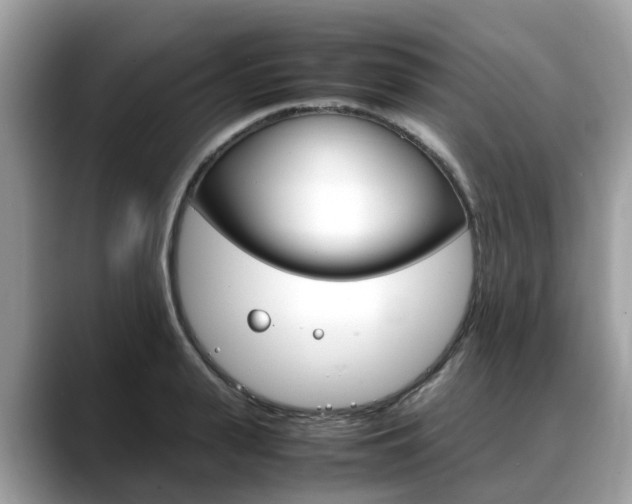 X0000088720943200705311054