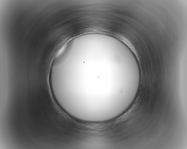 X0000088720946200705311054