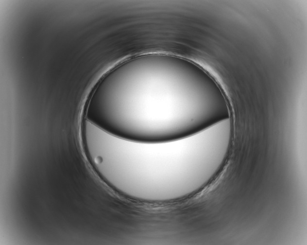 X0000088720949200705311054