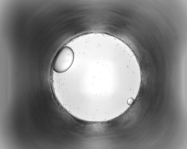 X0000088720950200705311054