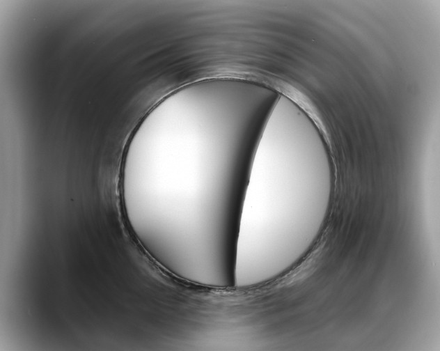X0000088720954200705311054