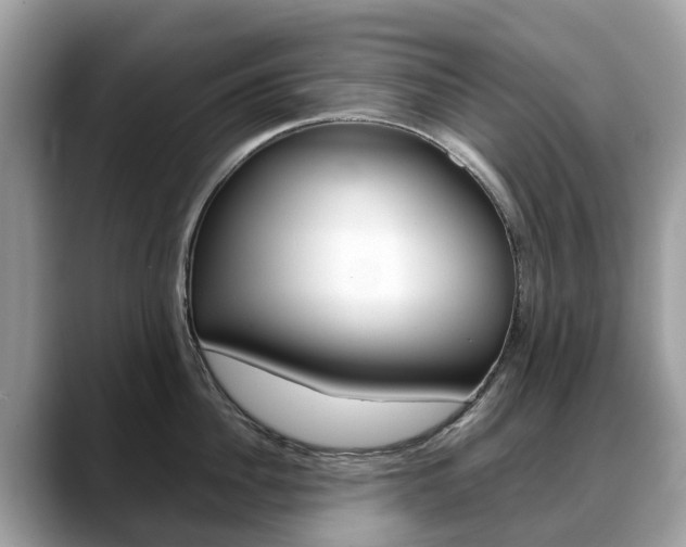 X0000088720956200705311054