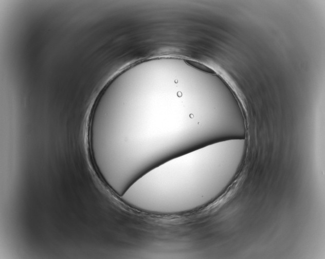 X0000088720957200705311054
