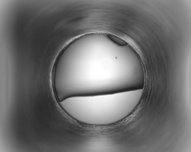 X0000088720958200705311054