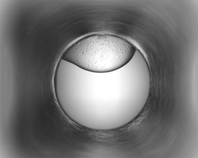 X0000088720959200705311054