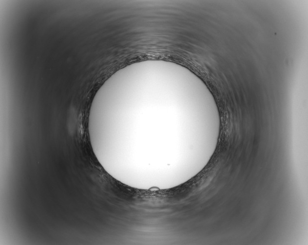 X0000088720962200705311054