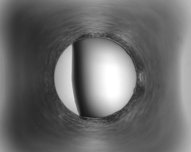 X0000088720963200705311054